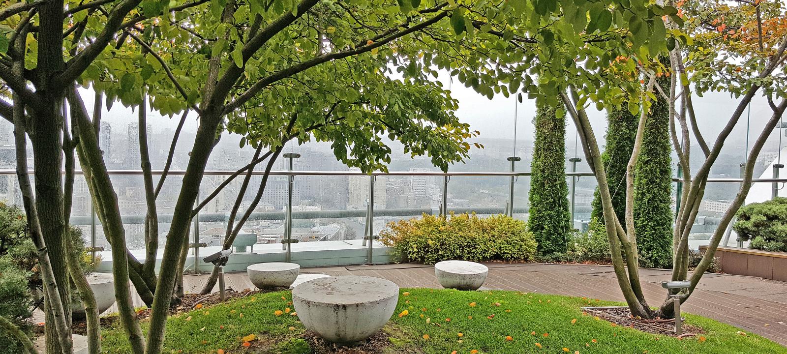 Roof garden with wooden decking, small trees and lawn